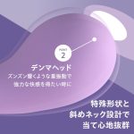 P_V2121