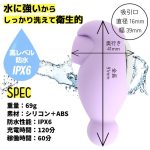 P_V2132